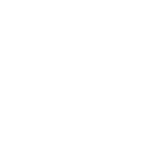 Padlock with key